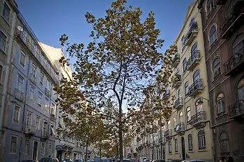 Hotel Valmor Lisbon